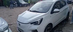 2023 Electric Hatchback 24km Battery 96 Percent