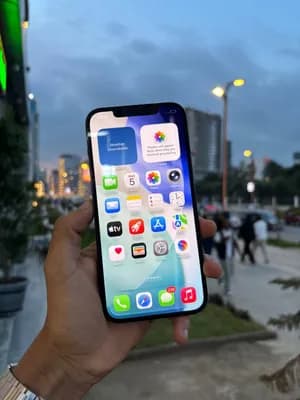 Apple iPhone 12 Pro Max