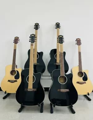 Siltron Acoustic and Electric Guitar