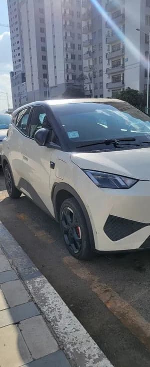 BYD Seagull Smart 2025 EV