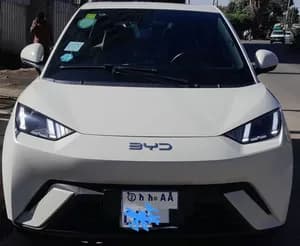 BYD Seagull 2024 Electric