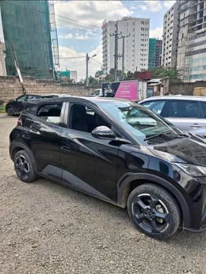 BYD Seagull 2024 Electric