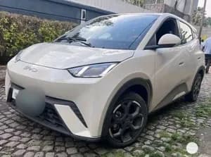 BYD Seagull 2025 Electric