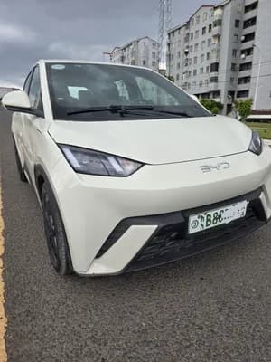 BYD Seagull 2024 Electric 405km