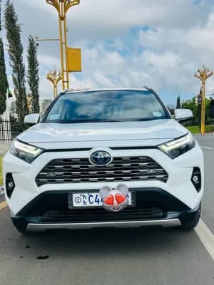 Toyota RAV4 Hybrid 2024