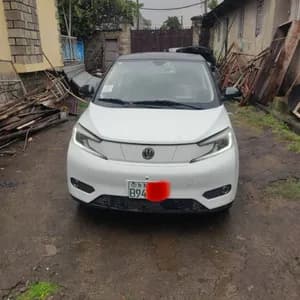 Young xiao xin 2023 35kWh