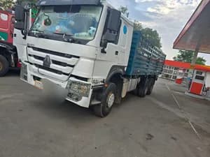 Sino Casoni Truck 2021