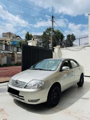 Corolla 2003