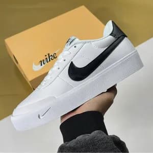 Nike SB Court