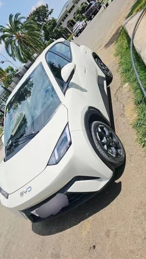 BYD Seagull 2024