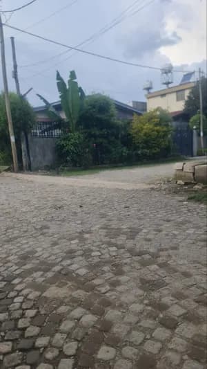 ቫላ 360 ካሬ