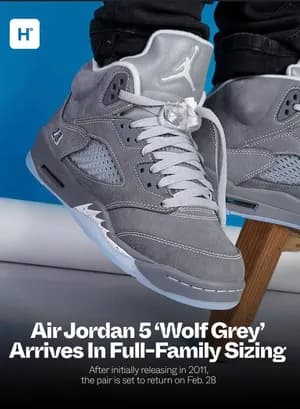 Air Jordan 5 Wolf Grey