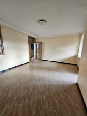 2 Bedroom Condo in Bole Arabsa
