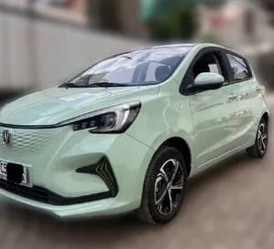 Changan E-Star 2023 Electric Hatchback