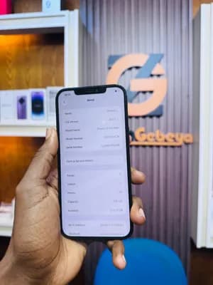 iPhone 12 Pro Max 256GB