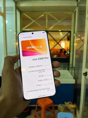 Vivo X300 Pro 512GB 12GB
