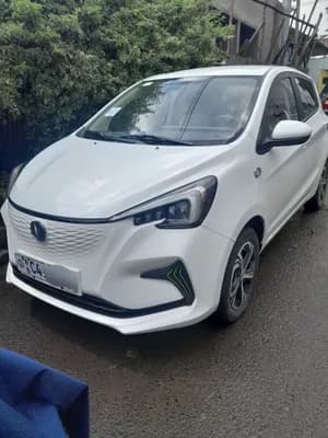 Changan Benben E-Star