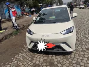 2025 BYD Electric Hatchback