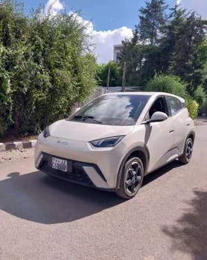 BYD Seagull 2024 Electric Cream