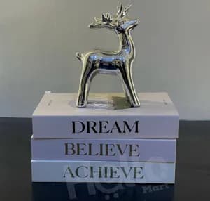 3 Pcs Decorative Books Set