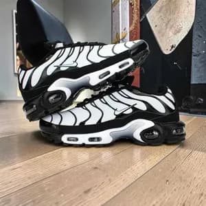 Nike Air Max TN Color Shifting Sneakers