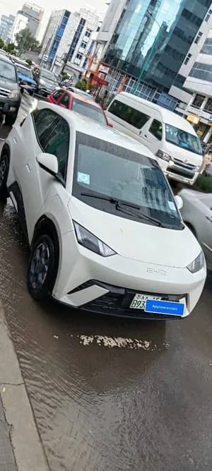 BYD Seagull 2025 Electric Car