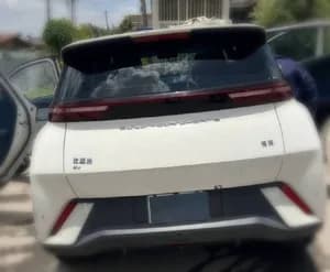 BYD Seagull 2024
