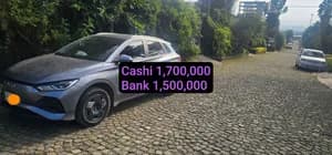 BYD e2