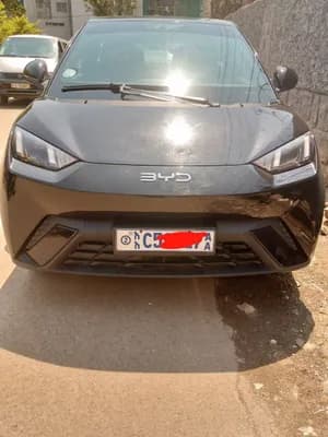 BYD segull