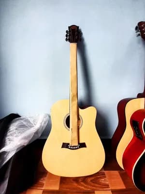 Siltron Semi Acoustic Electric Guitar