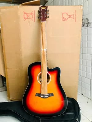 Siltron Semi Acoustic Guitar