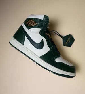 Nike Air Jordan 1 High Shoes