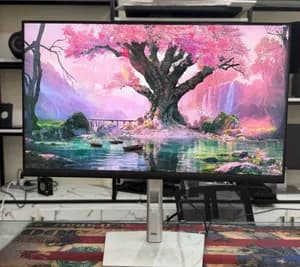 Dell P2422H 24 Inch Monitor