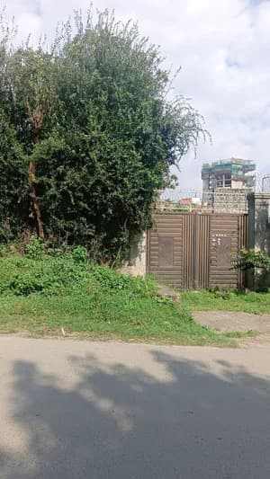 490 sqm Land for Sale Bisrate Gabriel