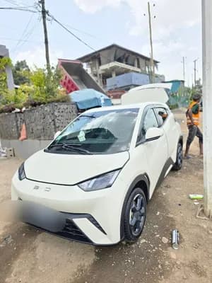 BYD Segull Electric 2024