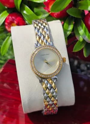 Calvin Klein Ladies Stainless Steel Watch