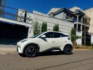 BYD Seagull 2025 Electric