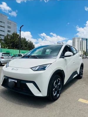 BYD Seagull 2025 Electric Car