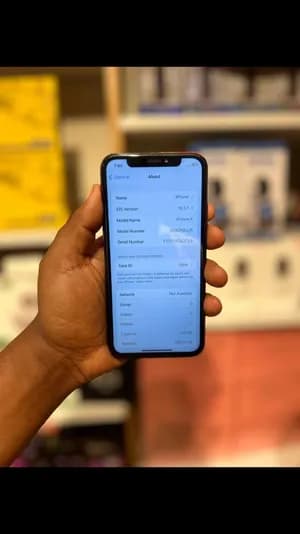 Apple iPhone X 256GB