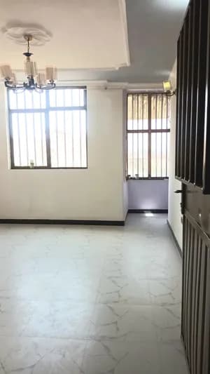 One Bedroom Condo in Bole Arabssa