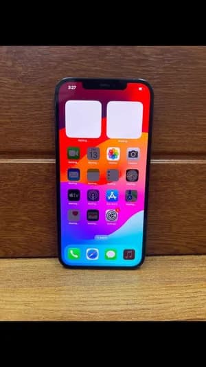 iPhone 12 Pro Max 256GB