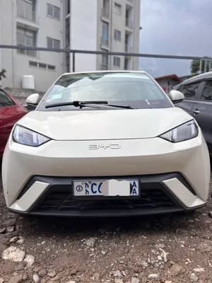 BYD Seagull 2024