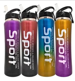 Stainless Steel Water Bottle With Straw 600ML