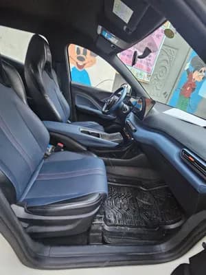 BYD segull