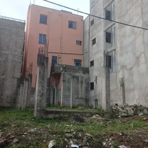 175 ካሬ አያት አከባቢ