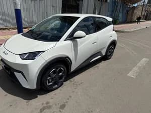BYD Seagull 2024 Electric SUV