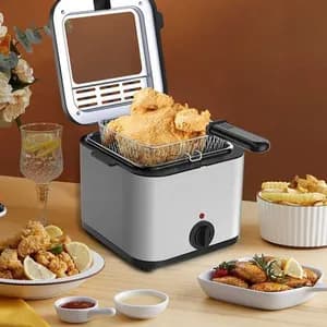 2.5L Stainless Steel Deep Fryer with Temperature Control