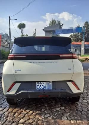 BYD Seagull