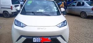 BYD Seagull 2024