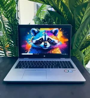 HP ProBook 450 G6 i5 16GB 512GB